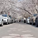 青岛旅游 缩略图 1