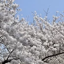 青岛旅游 缩略图 9