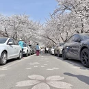 青岛旅游 缩略图 3