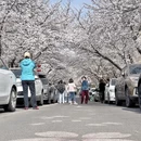 青岛旅游 缩略图 14