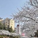 青岛旅游 缩略图 13