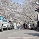 青岛旅游 缩略图 5