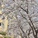 青岛旅游 缩略图 11