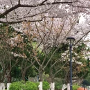 北京旅游 缩略图 4