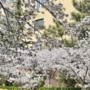 青岛旅游 缩略图 15