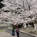 北京旅游 缩略图 1