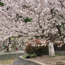 北京旅游 缩略图 2