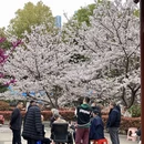 北京旅游 缩略图 3