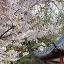 北京旅游 缩略图 5