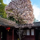 成都旅游 缩略图 5