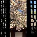 成都旅游 缩略图 1