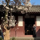 成都旅游 缩略图 7
