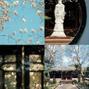 成都旅游 缩略图 1