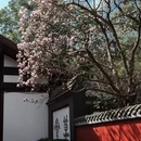 成都旅游 缩略图 3