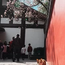 成都旅游 缩略图 5
