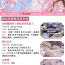 青岛旅游 缩略图 4