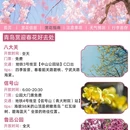 青岛旅游 缩略图 5