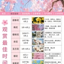 青岛旅游 缩略图 2
