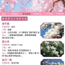青岛旅游 缩略图 7
