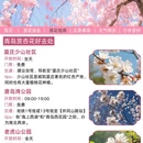 青岛旅游 缩略图 6