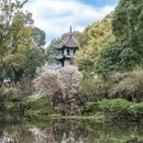 成都旅游 缩略图 10
