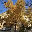 大连旅游 缩略图 3