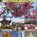 大连旅游 缩略图 1