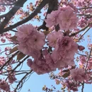 大连旅游 缩略图 15
