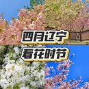 沈阳旅游 缩略图 1