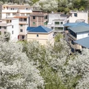 沈阳旅游 缩略图 6