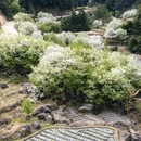 沈阳旅游 缩略图 7