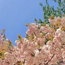 沈阳旅游 缩略图 12