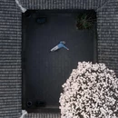 成都旅游 缩略图 1