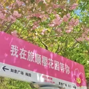 沈阳旅游 缩略图 13