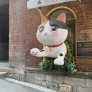 大连旅游 缩略图 2