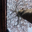 成都旅游 缩略图 3