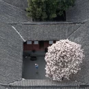 成都旅游 缩略图 4