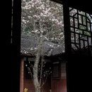 成都旅游 缩略图 10