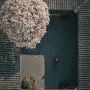 成都旅游 缩略图 1