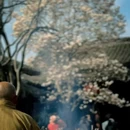 成都旅游 缩略图 7