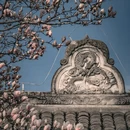 成都旅游 缩略图 6