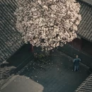 成都旅游 缩略图 2