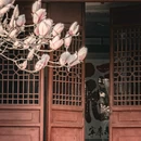 成都旅游 缩略图 16