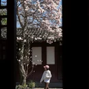 成都旅游 缩略图 3
