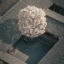 成都旅游 缩略图 18