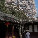 成都旅游 缩略图 9