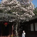 成都旅游 缩略图 2