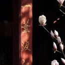 成都旅游 缩略图 11