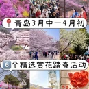 青岛旅游 缩略图 1