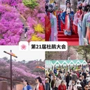 青岛旅游 缩略图 3